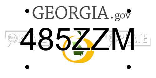 485ZZM Georgia License Plate