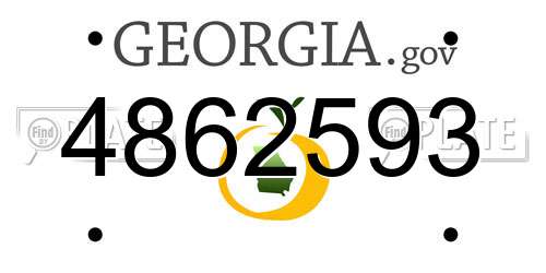 4862593 Georgia License Plate