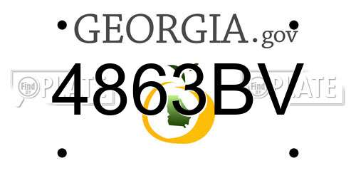 4863BV Georgia License Plate