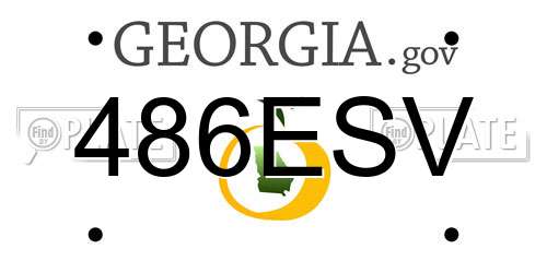 486ESV Georgia License Plate