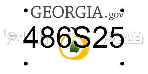 486S25 Georgia License Plate
