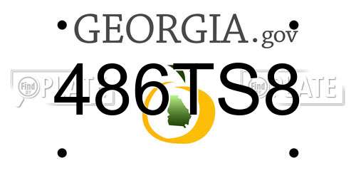 486TS8 Georgia License Plate