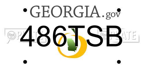 486TSB Georgia License Plate