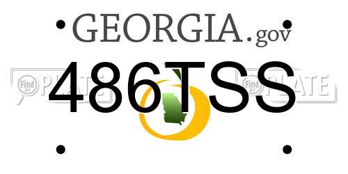 486TSS Georgia License Plate