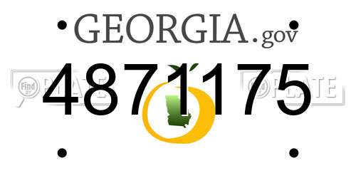 4871175 Georgia License Plate