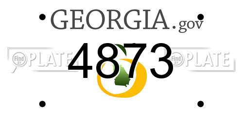 4873 Georgia License Plate