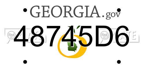 48745D6 Georgia License Plate