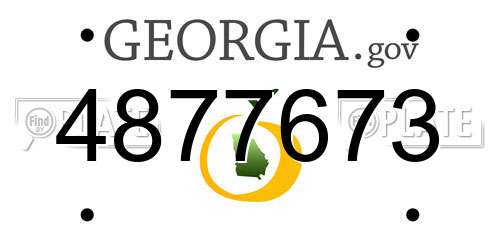 4877673 Georgia License Plate