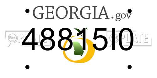 48815I0 Georgia License Plate