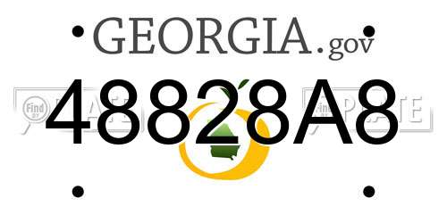 48828A8 Georgia License Plate