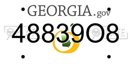 48839O8 Georgia License Plate