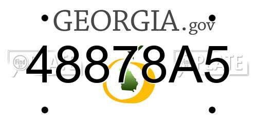 48878A5 Georgia License Plate