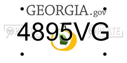 4895VG Georgia License Plate