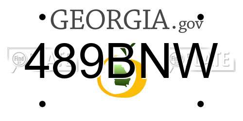 489BNW Georgia License Plate