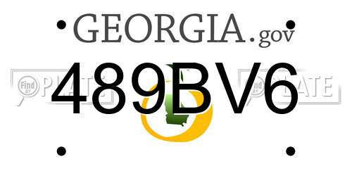 489BV6 Georgia License Plate