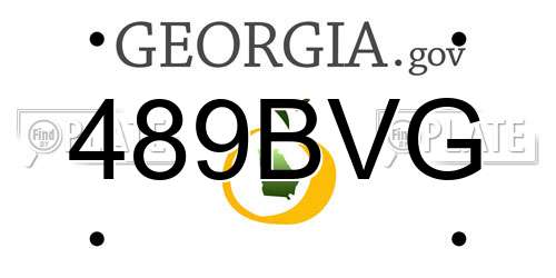 489BVG Georgia License Plate