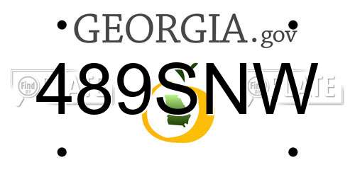 489SNW Georgia License Plate