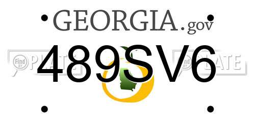 489SV6 Georgia License Plate