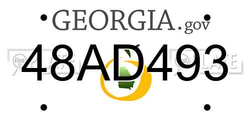 48AD493 Georgia License Plate