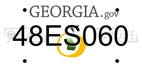 48ES060 Georgia License Plate