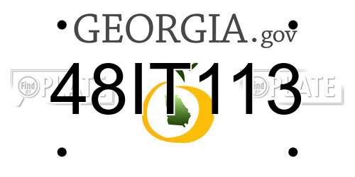 48IT113 Georgia License Plate