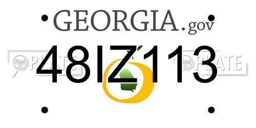 48IZ113 Georgia License Plate