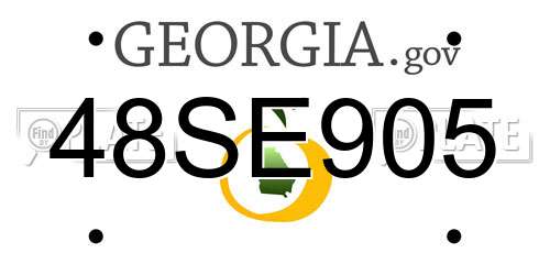 48SE905 Georgia License Plate