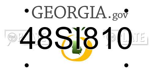 48SI810 Georgia License Plate
