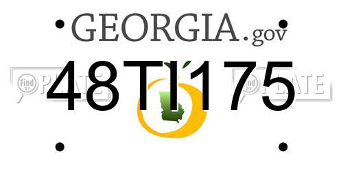 48TI175 Georgia License Plate