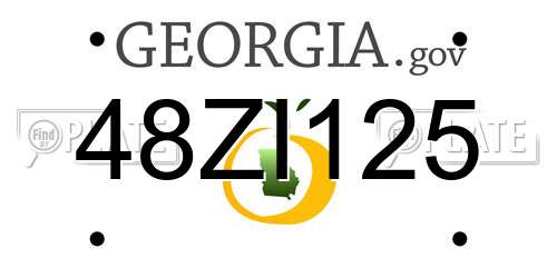48ZI125 Georgia License Plate