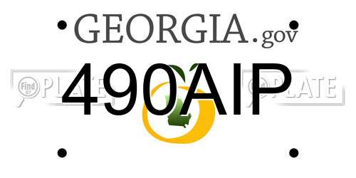 490AIP Georgia License Plate