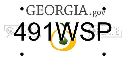 491WSP Georgia License Plate