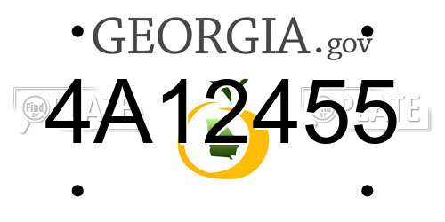 4A12455 Georgia License Plate
