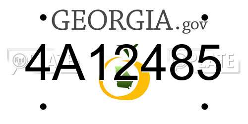 4A12485 Georgia License Plate