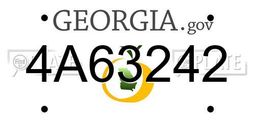 4A63242 Georgia License Plate