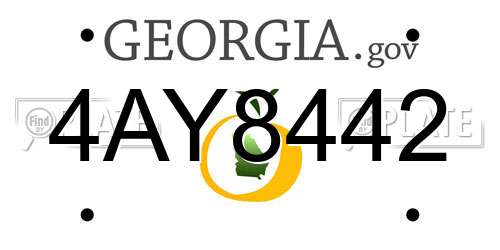 4AY8442 Georgia License Plate