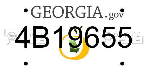 4B19655 Georgia License Plate