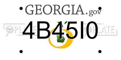 4B45I0 Georgia License Plate