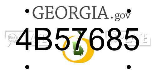 4B57685 Georgia License Plate