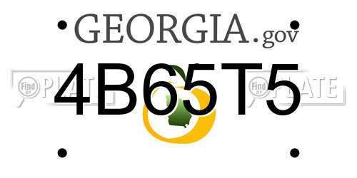 4B65T5 Georgia License Plate