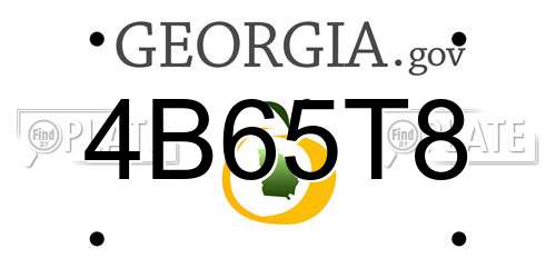 4B65T8 Georgia License Plate
