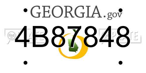 4B87848 Georgia License Plate