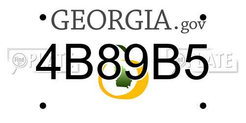 4B89B5 Georgia License Plate