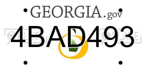 4BAD493 Georgia License Plate
