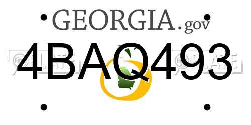 4BAQ493 Georgia License Plate