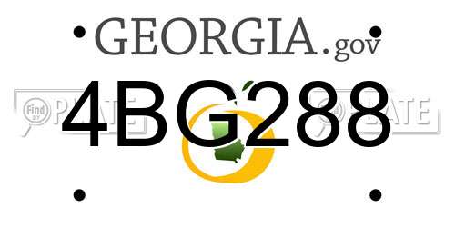 4BG288 Georgia License Plate