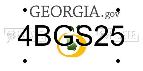 4BGS25 Georgia License Plate