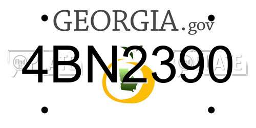 4BN2390 Georgia License Plate