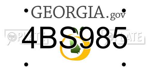 4BS985 Georgia License Plate