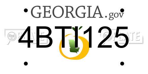 4BTI125 Georgia License Plate